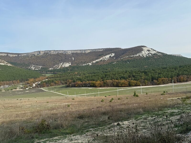 Домики в лесу Шули — фото 44