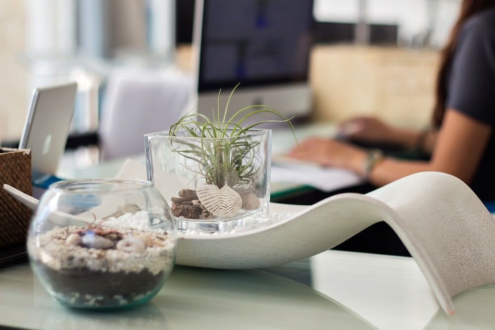 Фото Winds Boutique Hotel