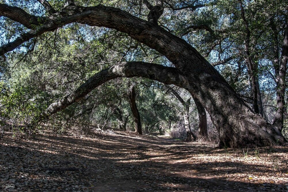 Фото San Vicente Golf Resort