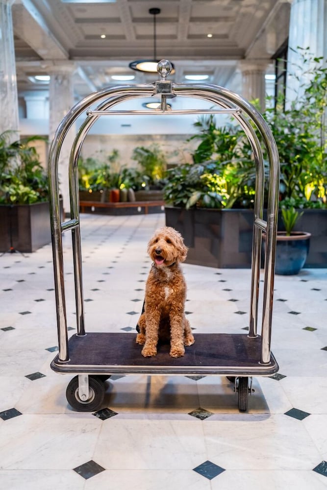 Фото Emery, Autograph Collection Hotel