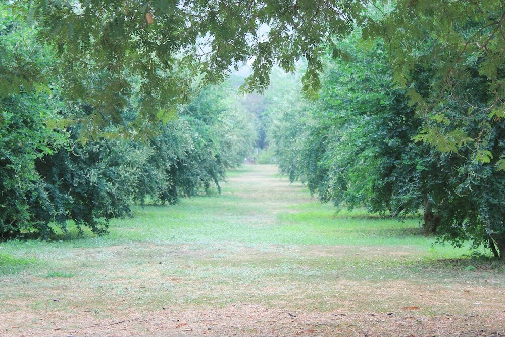 Фото Home @ Hostel Kanchanaburi