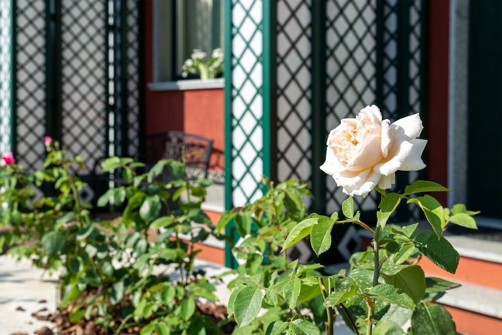 Фото Hotel Silver