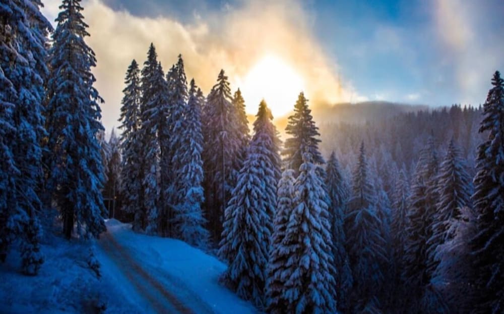 Фото Sunny Hills Ski