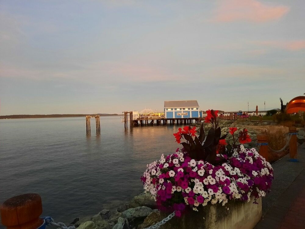 Фото Beacon Inn at Sidney B&b