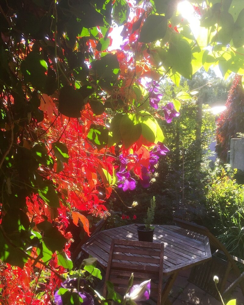 Фото Splatthayes B&b