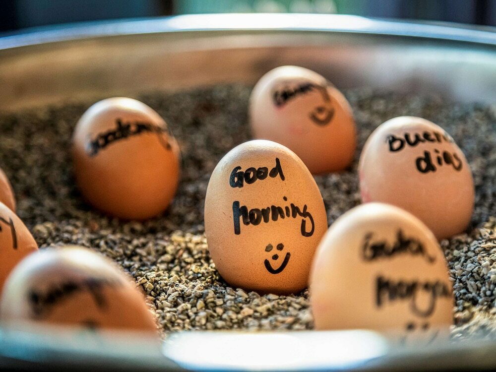 Фото Ibis Styles Vechta