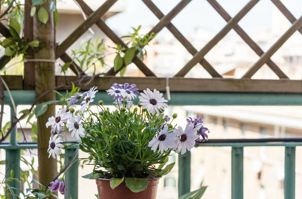 Фото Prati Guest house