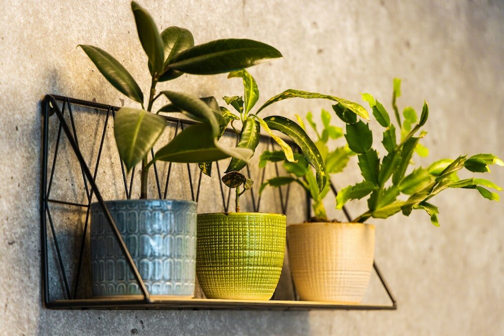 Фото Ibis budget Paris Porte de Vanves