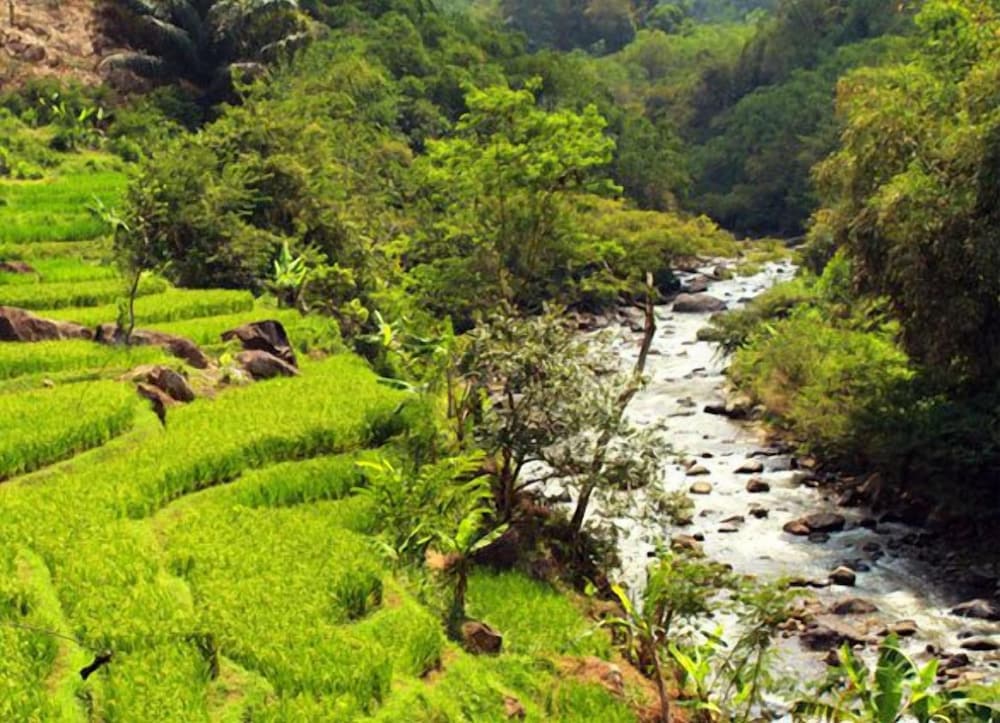 Фото D'Riam Riverside Resort