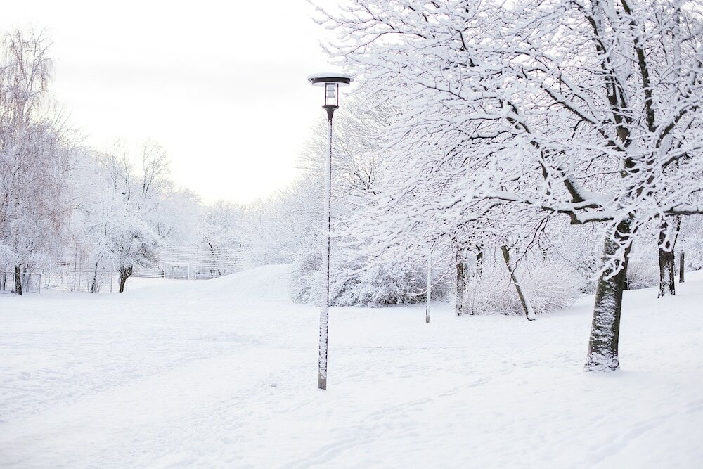 Фото Stf Zinkensdamm Hostel