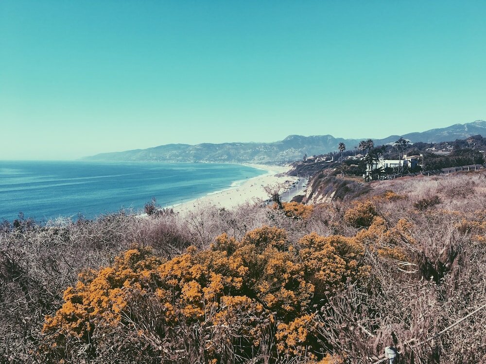 Фото The M Malibu