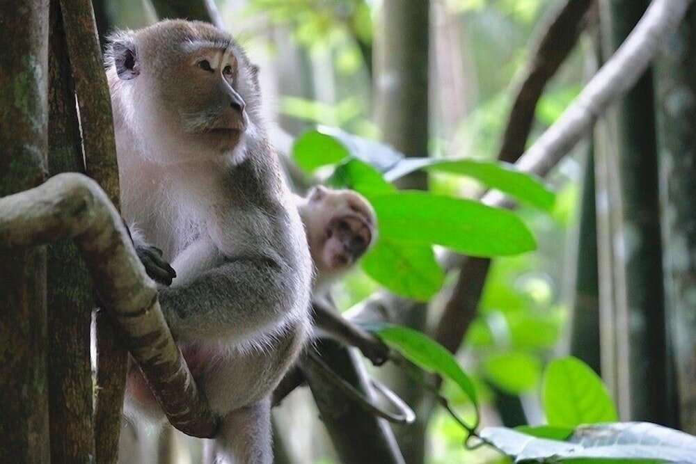 Фото Montania Lifestyle Hotel