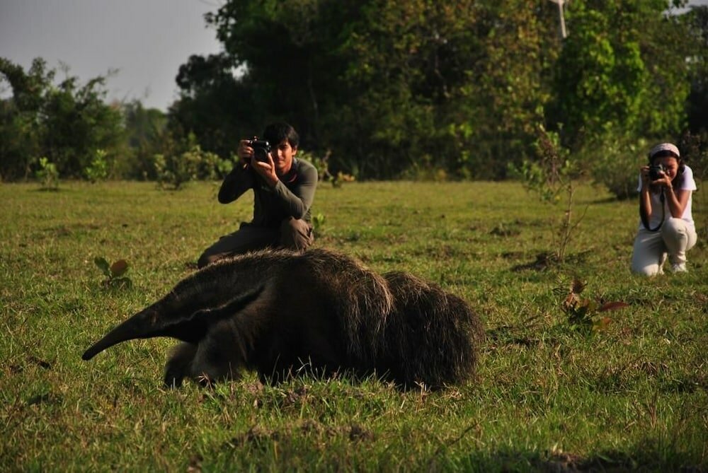 Фото Pousada Aguape