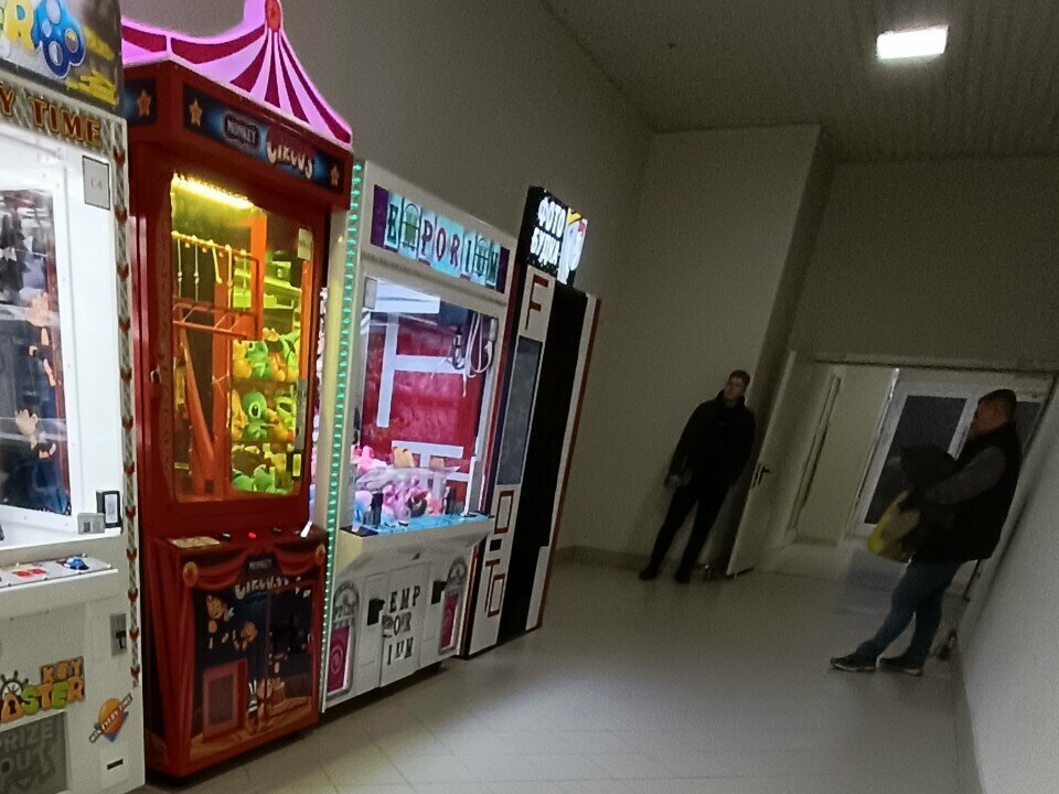 Vending machine Monkey Circus, Voronezh Oblast, photo