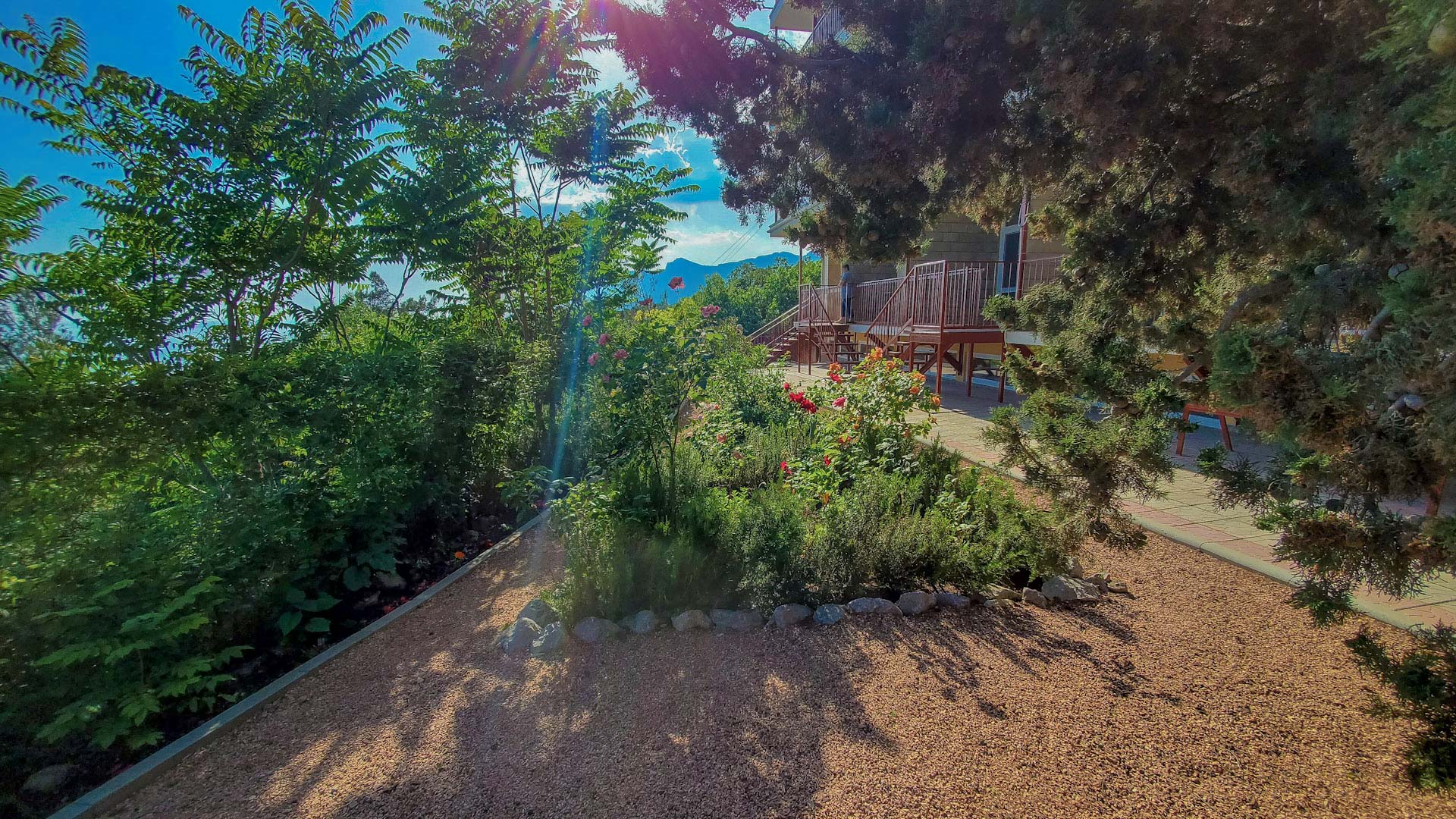 Фото Жуковка