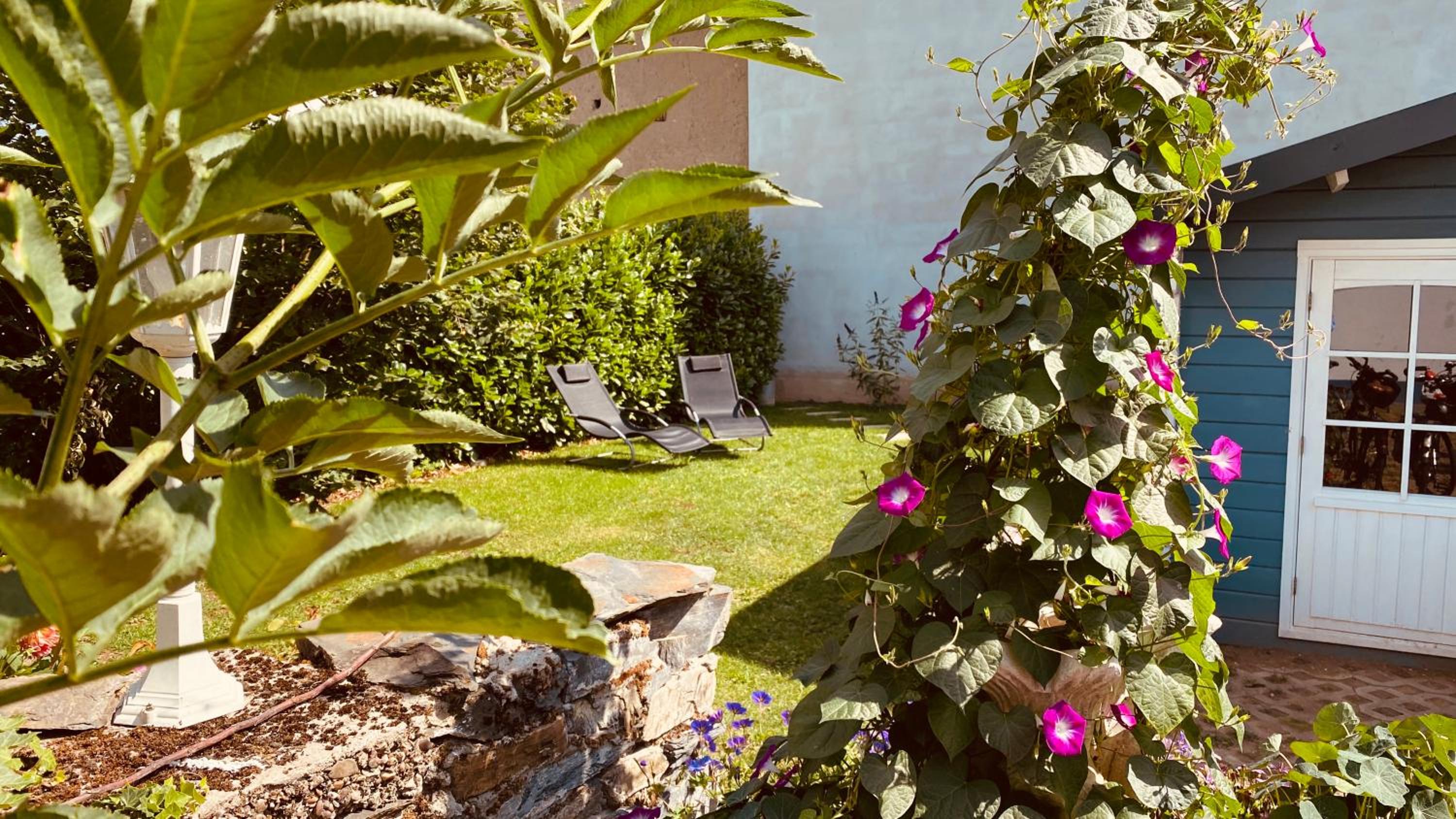 Фото Moselstern Hotel Weinhaus Fuhrmann