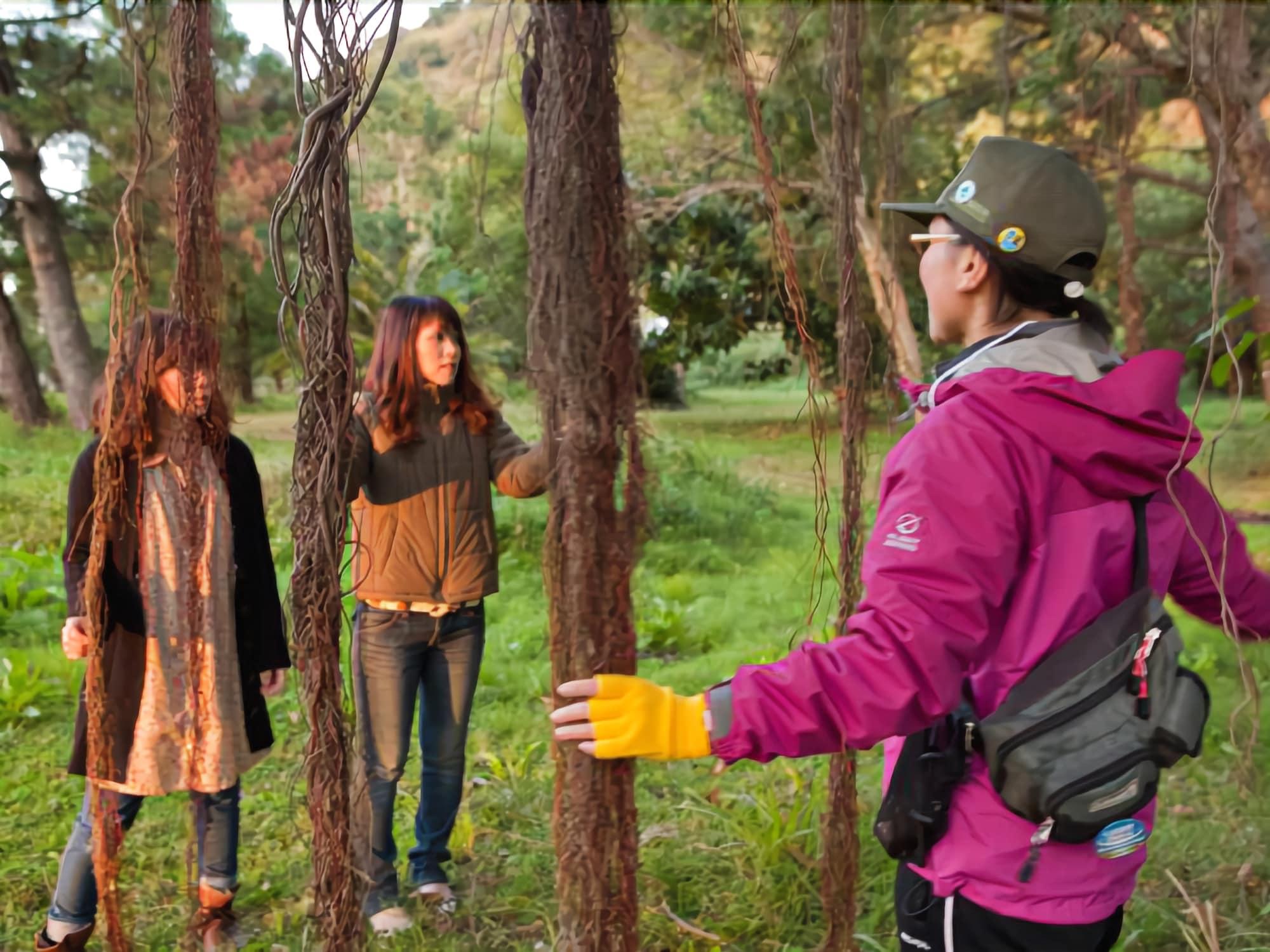 Фото Kyukamura Ibusuki