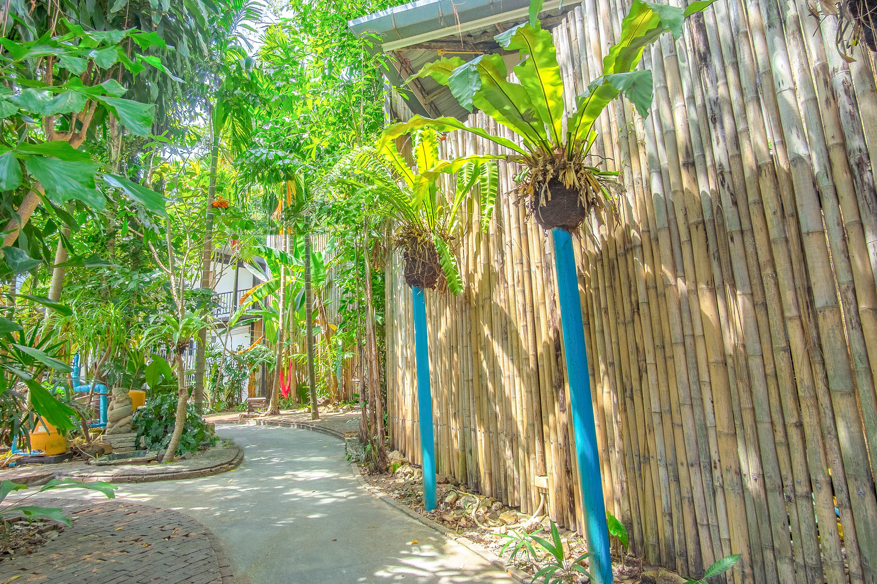 Фото Slumber Party Phi Phi - Hostel