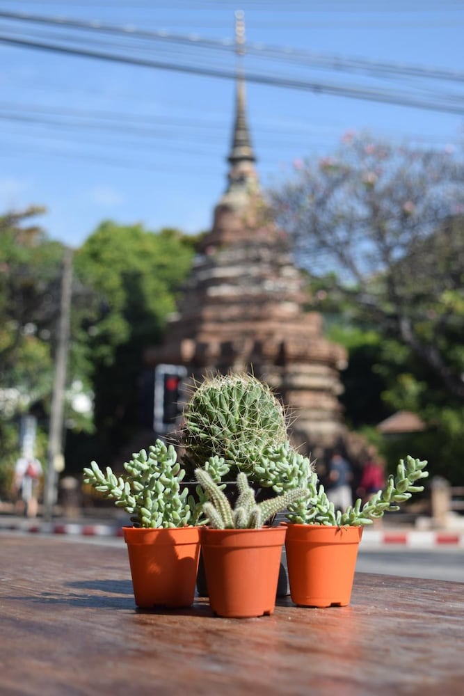 Фото See You Soon Chiangmai