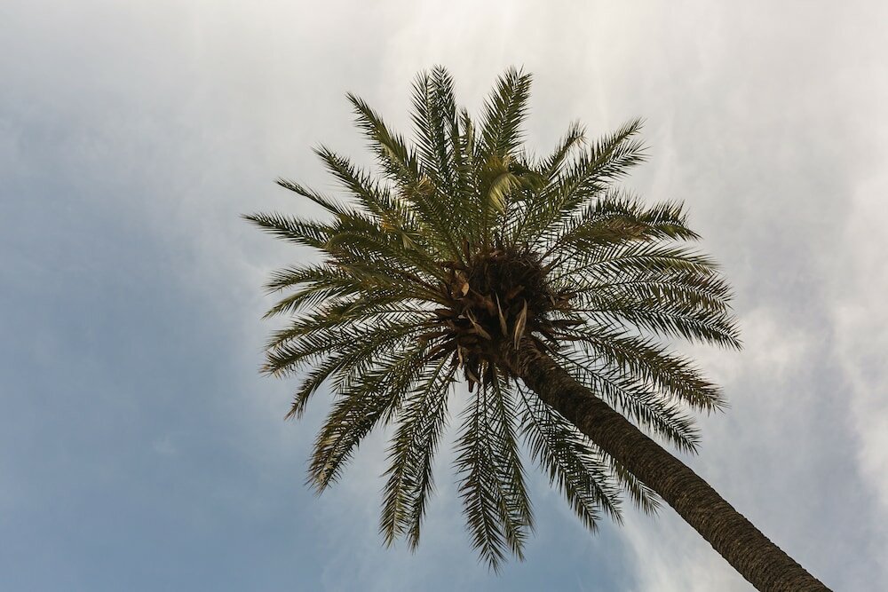 Фото Joya del Casco Boutique Hotel