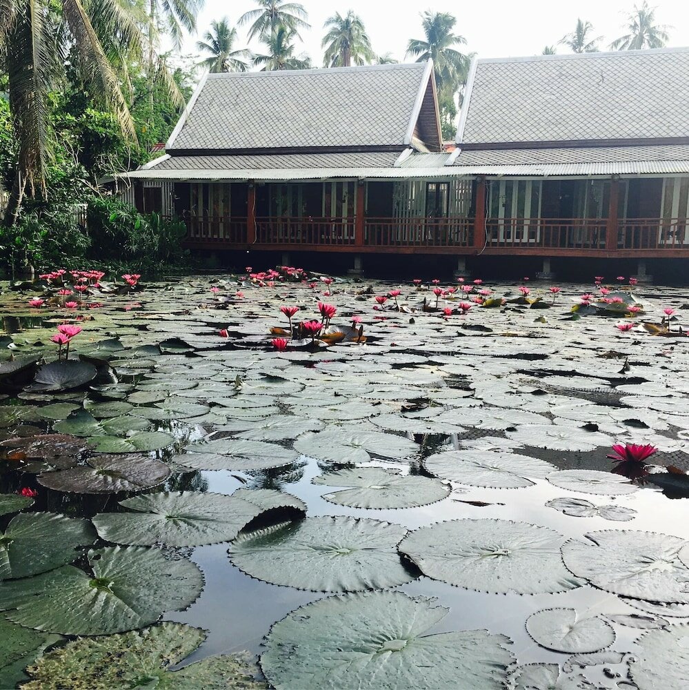 Фото Villa Oasis Luang Prabang