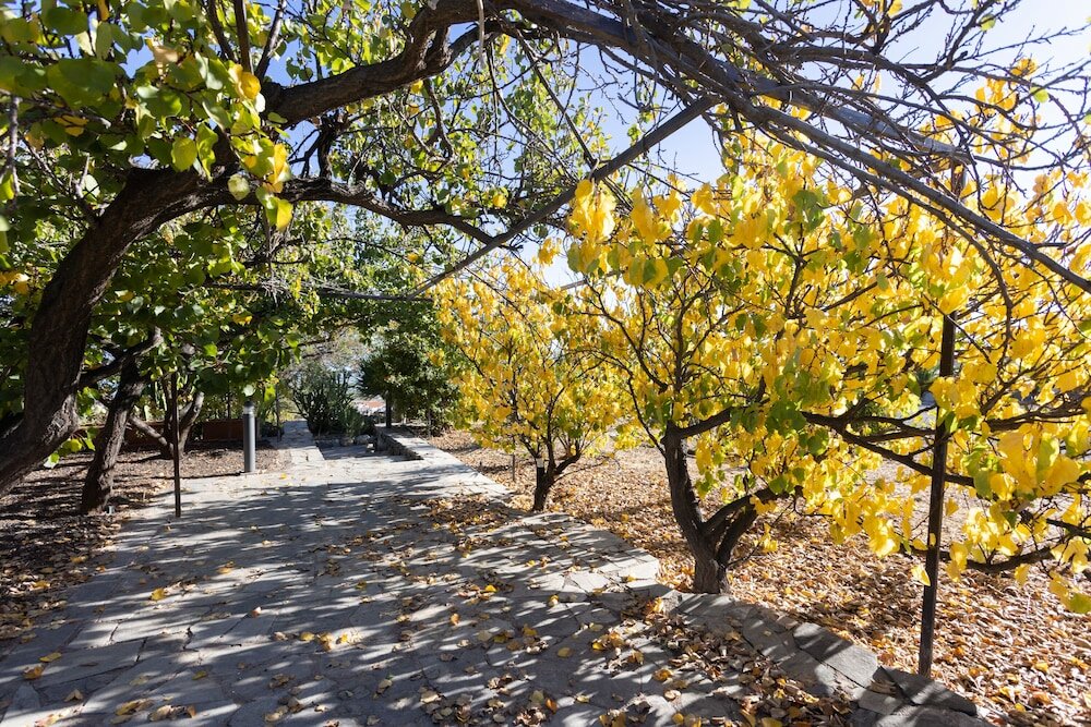 Фото Hotel Alta Montaña