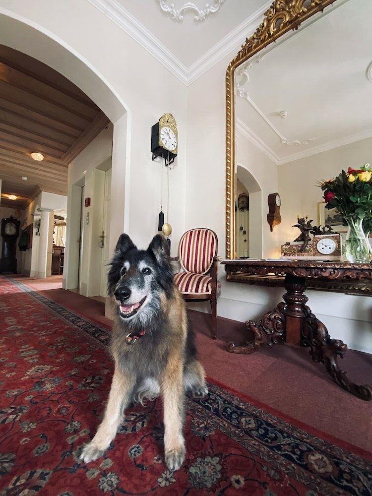 Фото отеля 4