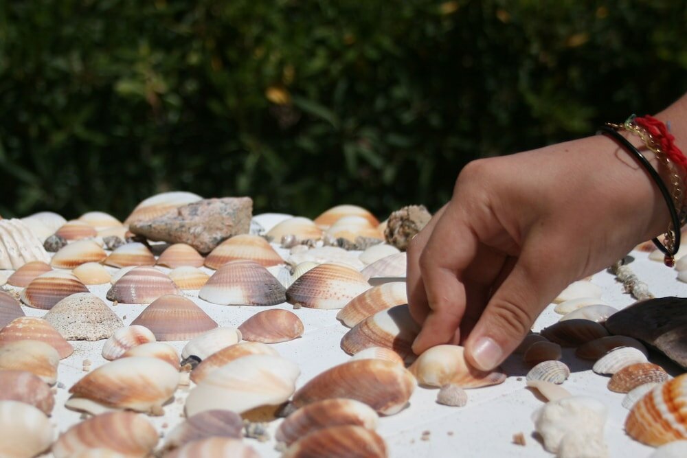 Фото Marina Manna Hotel & Club Village