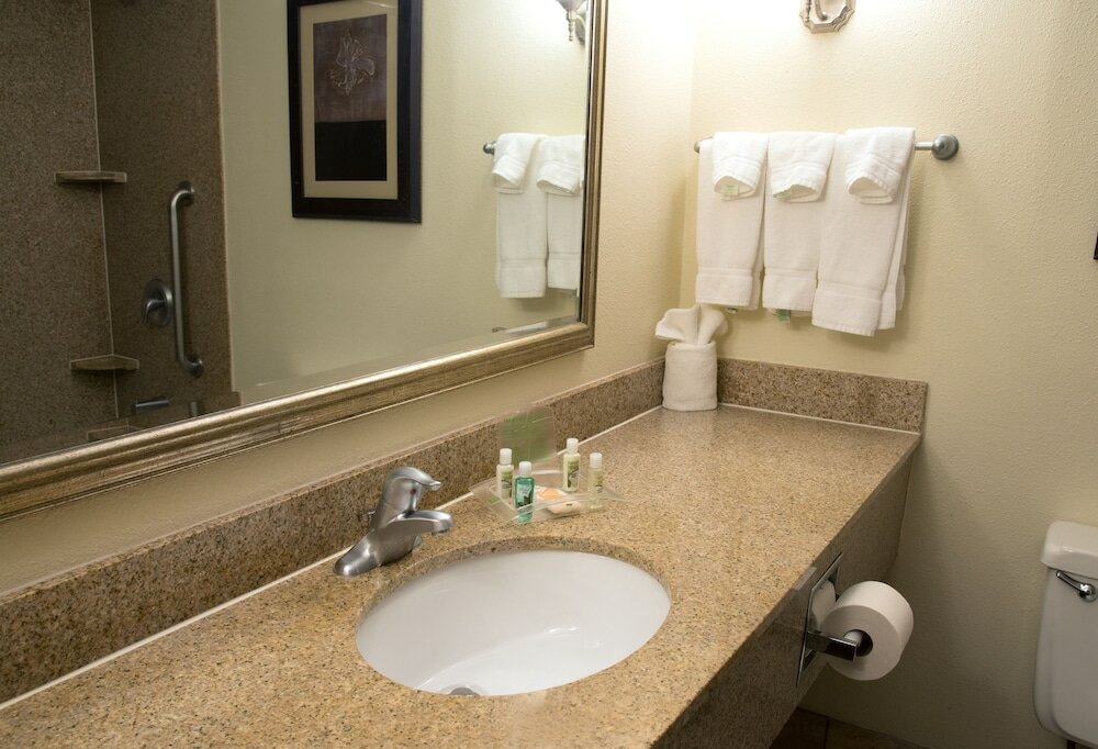 Фото Holiday Inn Hotel & Suites Charleston West, an Ihg Hotel