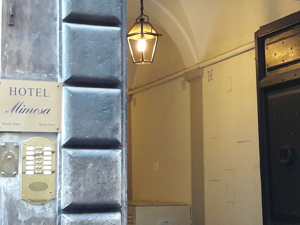 Фото Hotel Mimosa Pantheon