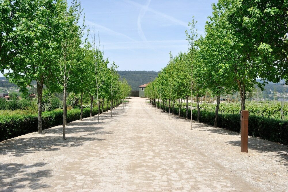 Фото Monverde - Wine Experience Hotel by Unlock Hotels