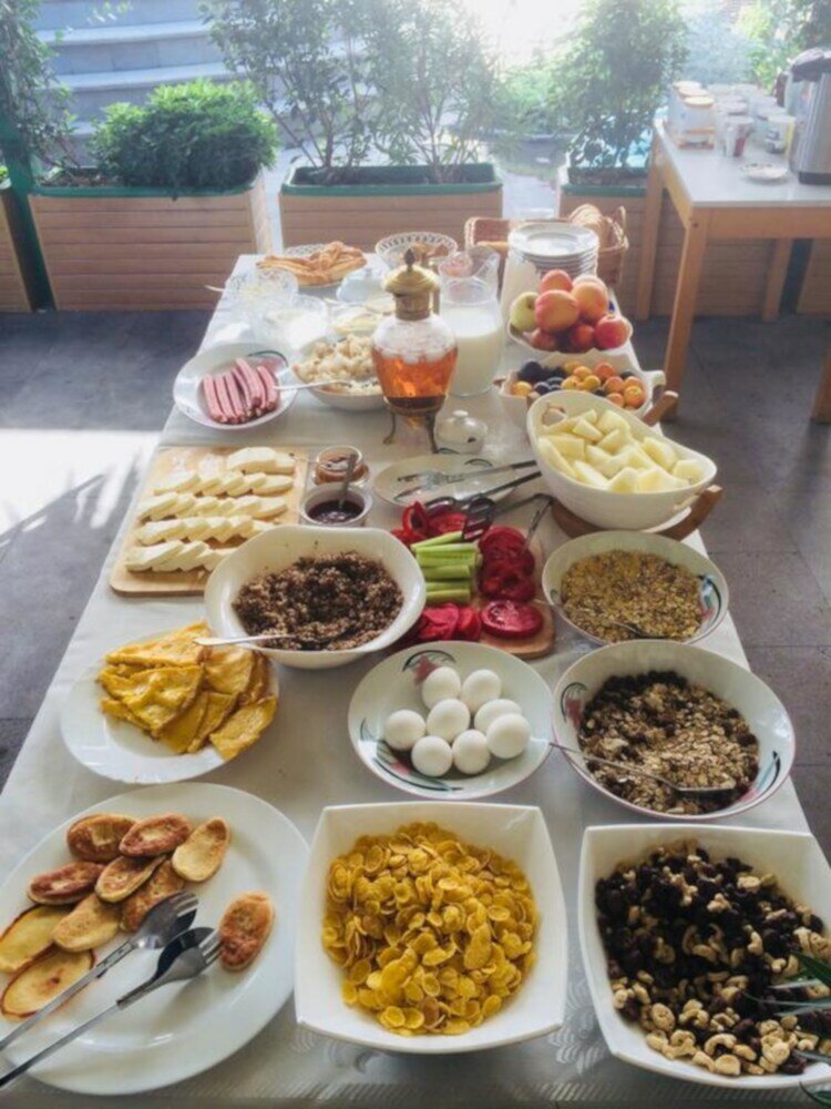 Фото Vedzisi garden hotel