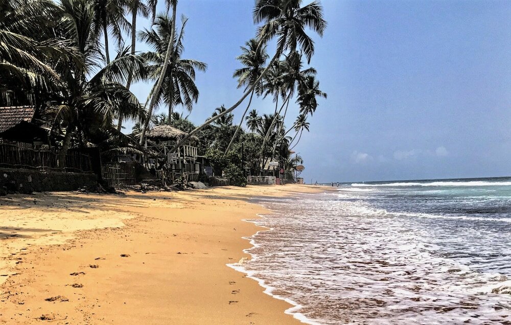 Фото Curry Bowl Restaurant & Turtles Rest