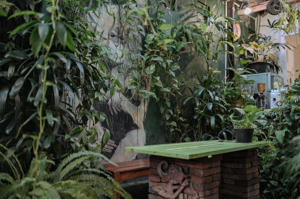 Фото Snooze Guesthouse Yogyakarta - Hostel