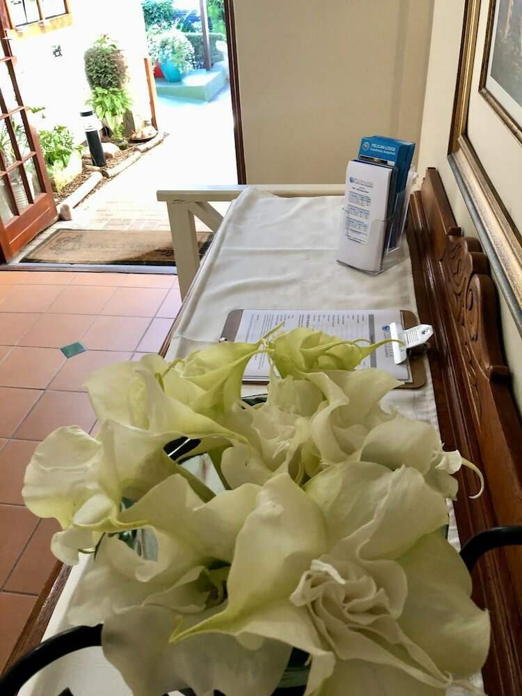 Фото Pelican Lodge