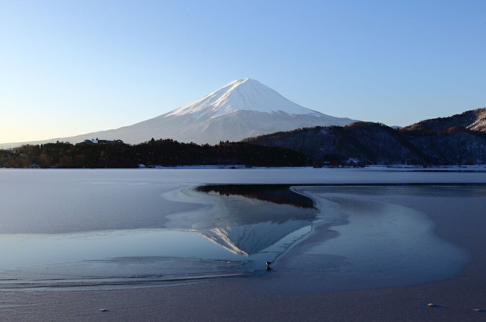 Фото Hotel Mystays Fuji Onsen Resort