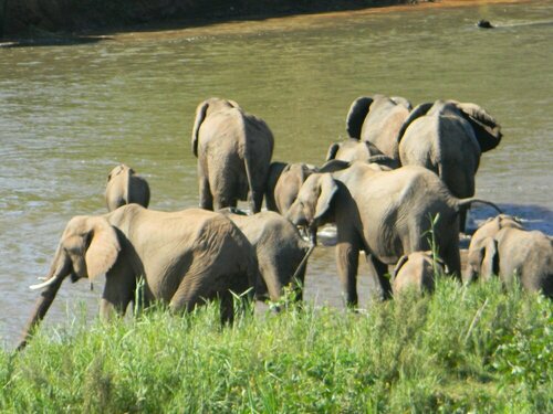 Внешний вид отеля Kruger View Chalets в Нкомазях, фото 4