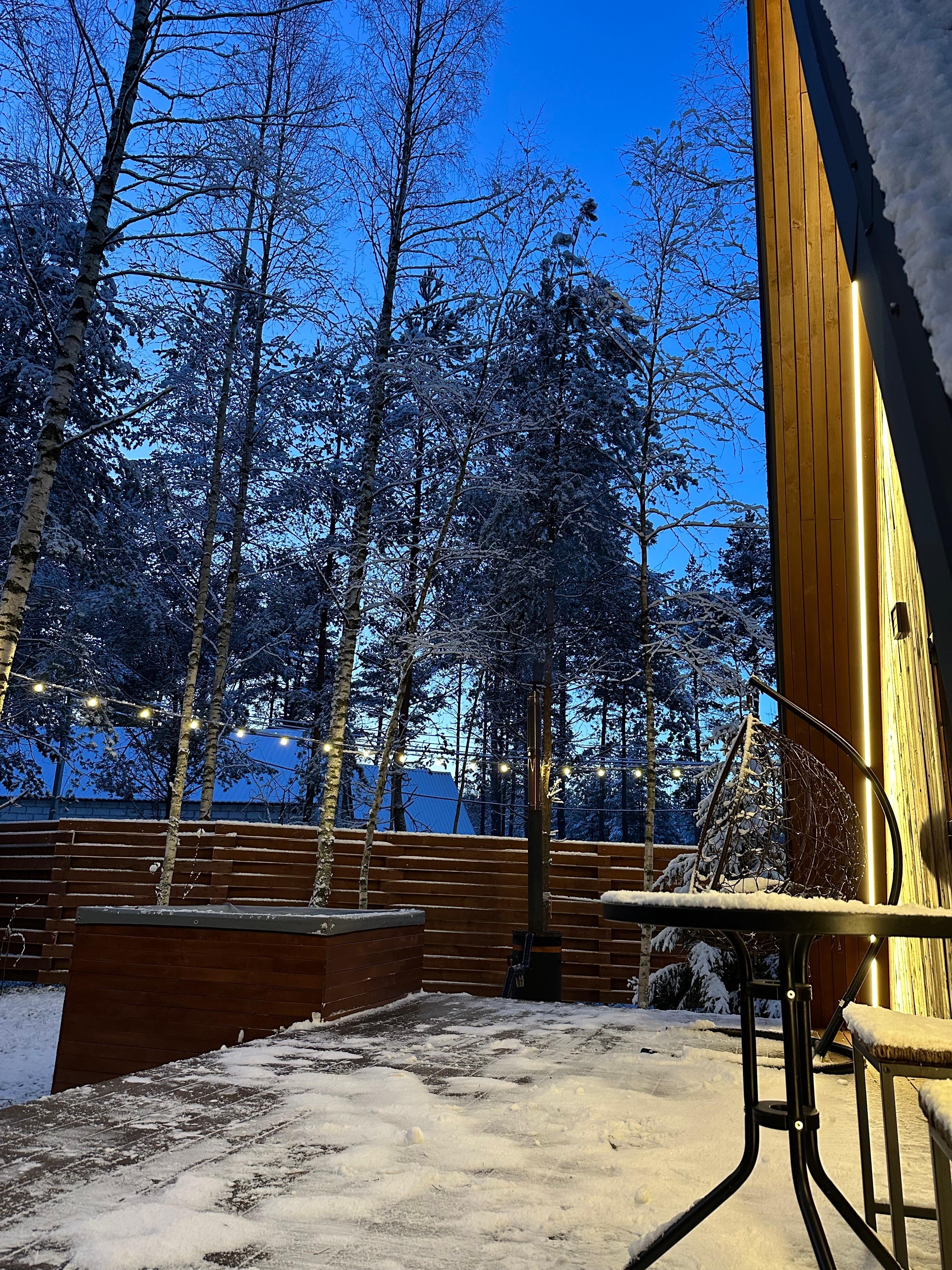 Фото Шишки Парк