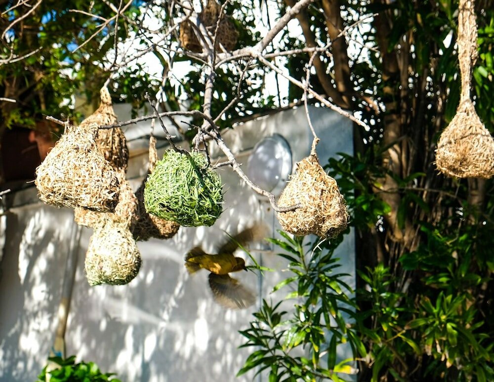 Фото Admiralty B&b