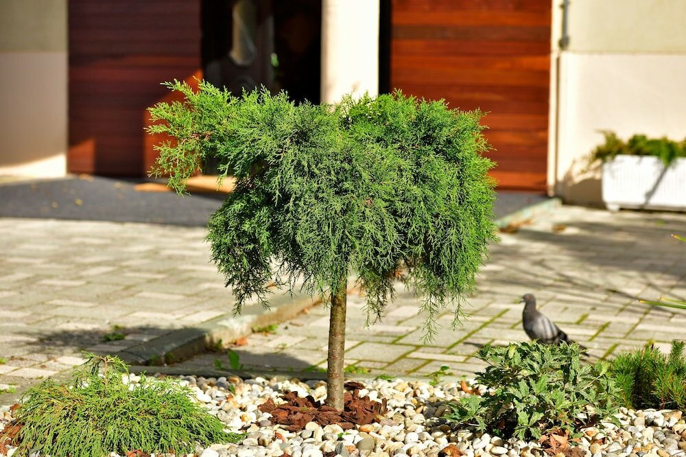 Фото Orient Express Hotel