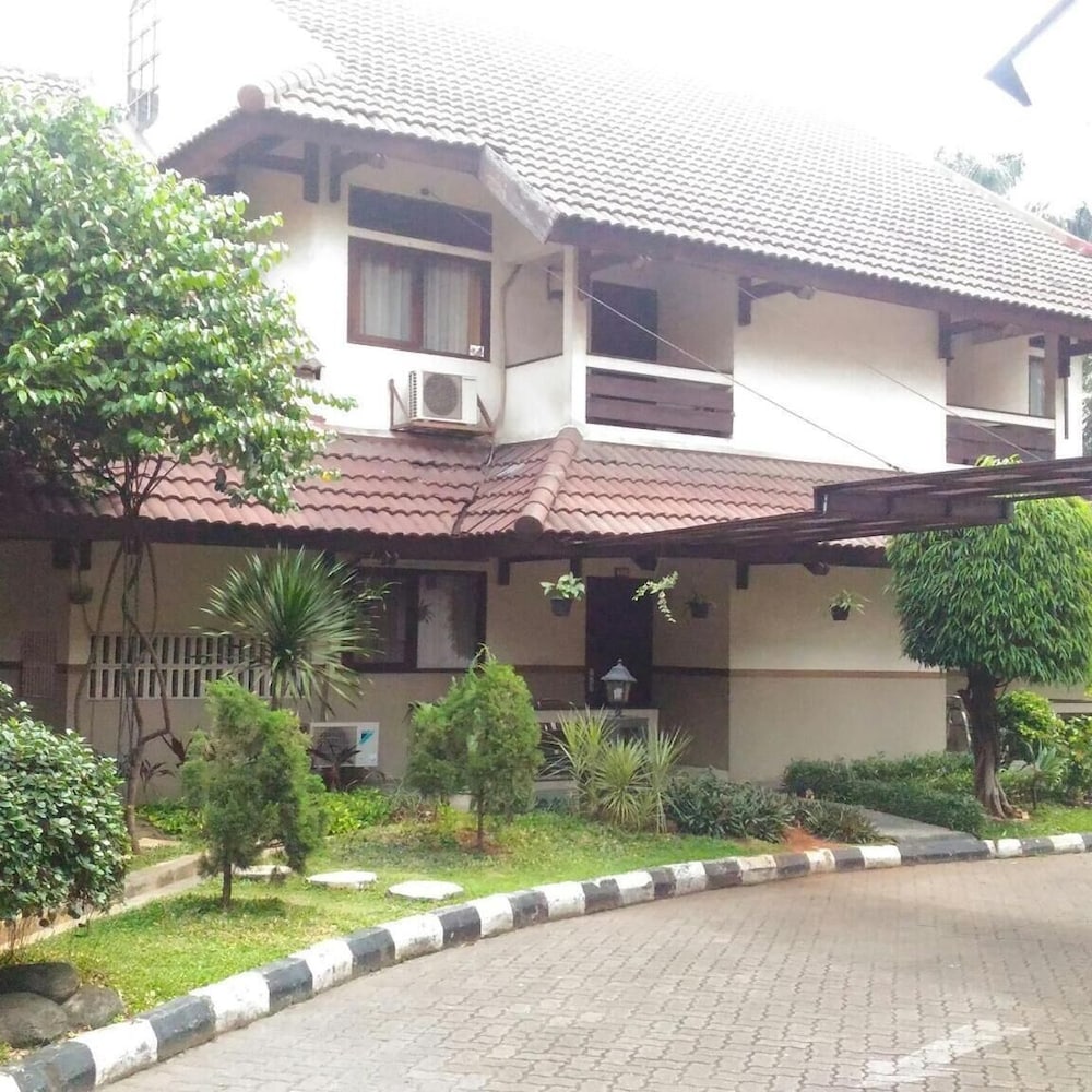 Фото D'Arcici Plumpang