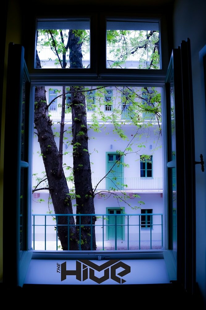 Фото The Hive Party Hostel