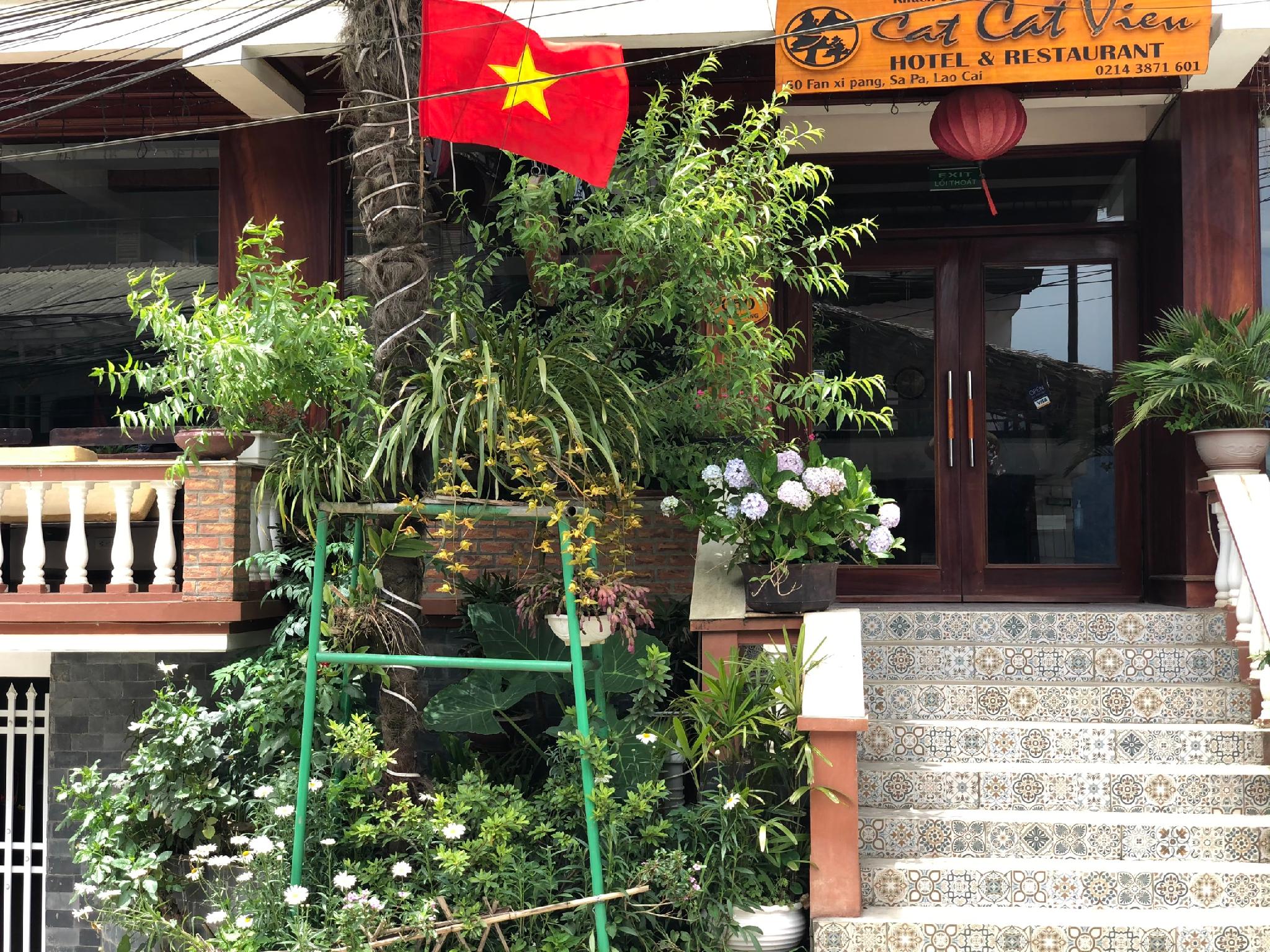 Фото Cat Cat View