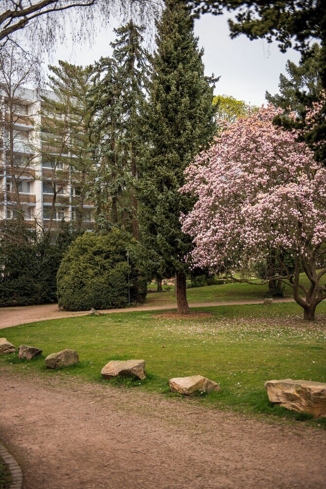 Фото Caravelle Hotel im Park