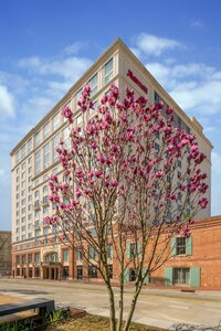 Гостиница New Orleans Marriott Warehouse Arts District