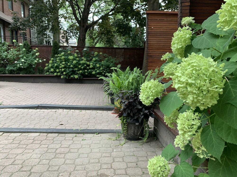 Фото Pembroke Inn