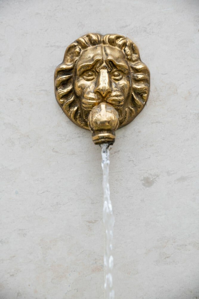 Фото Primorski Hotel