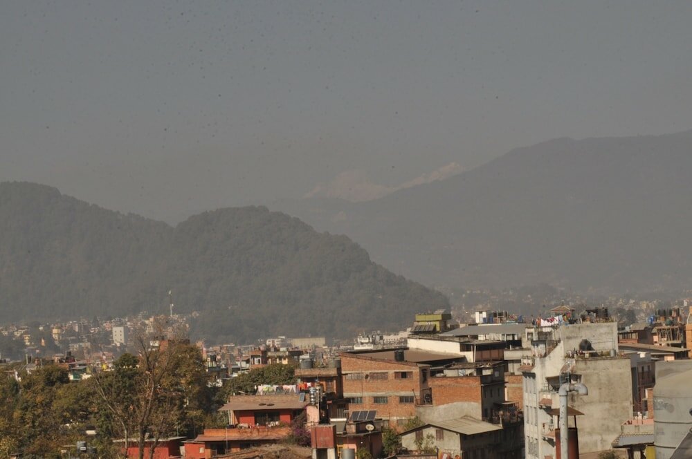 Фото Tibet Guest House