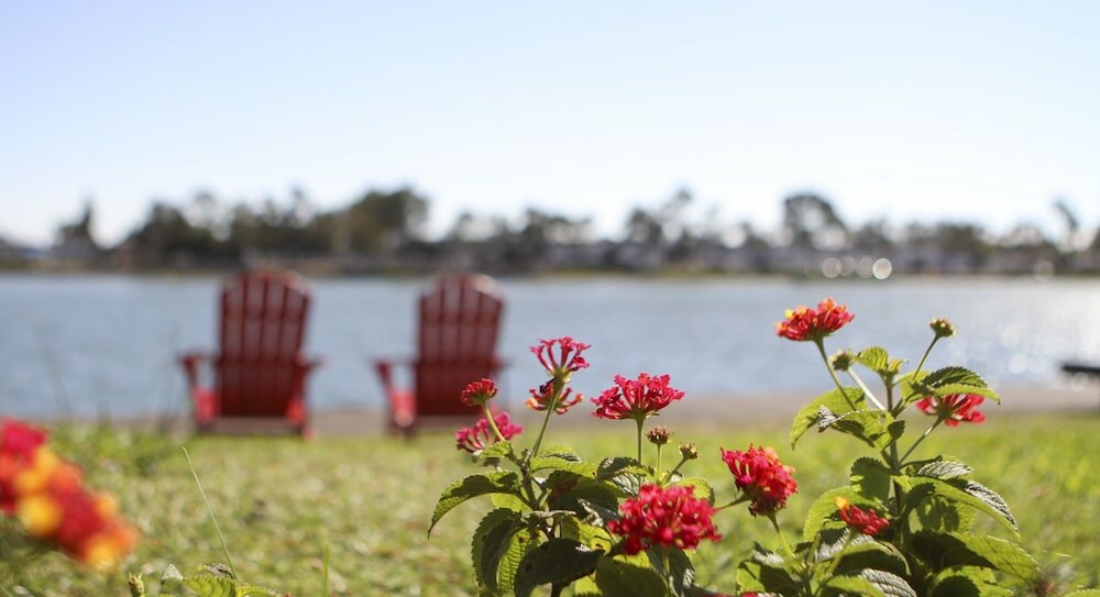 Фото Best Western Plus Bayside Hotel