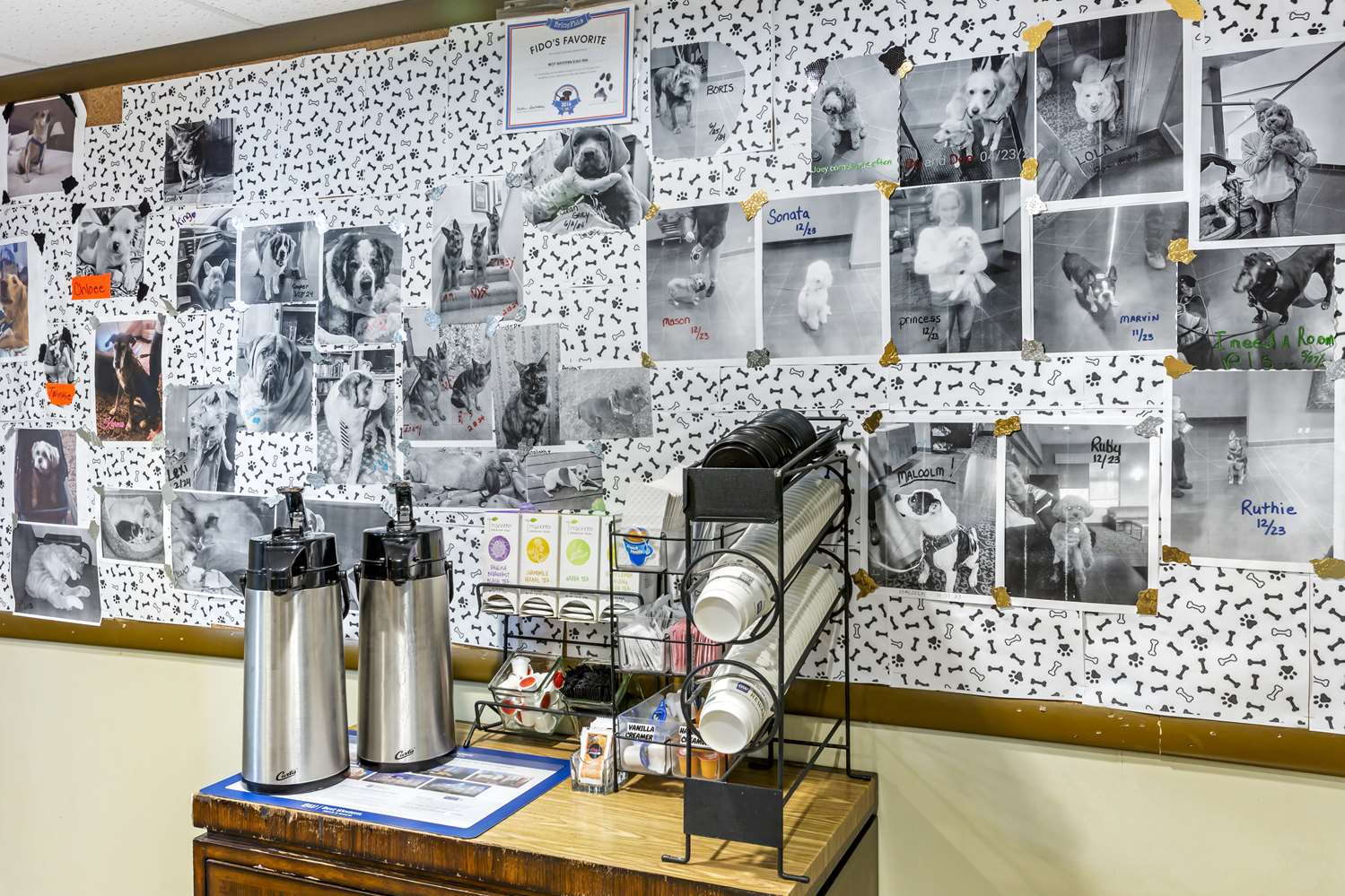 Фото Best Western Elko Inn